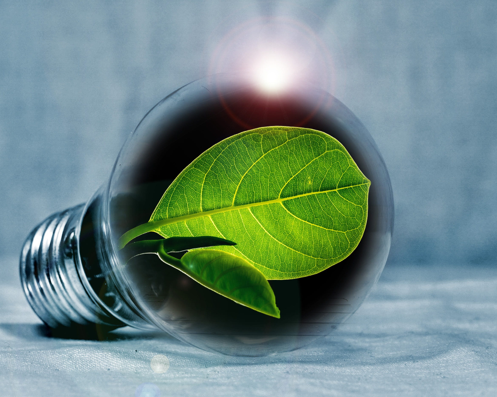 Led verlichting