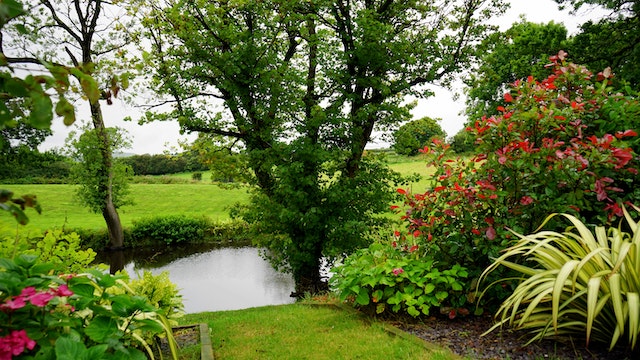 Zo geef je je tuin een geweldige make-over!