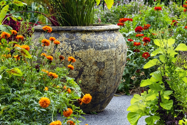 Tuinontwerp laten maken: stappenplan voor jouw droomtuin